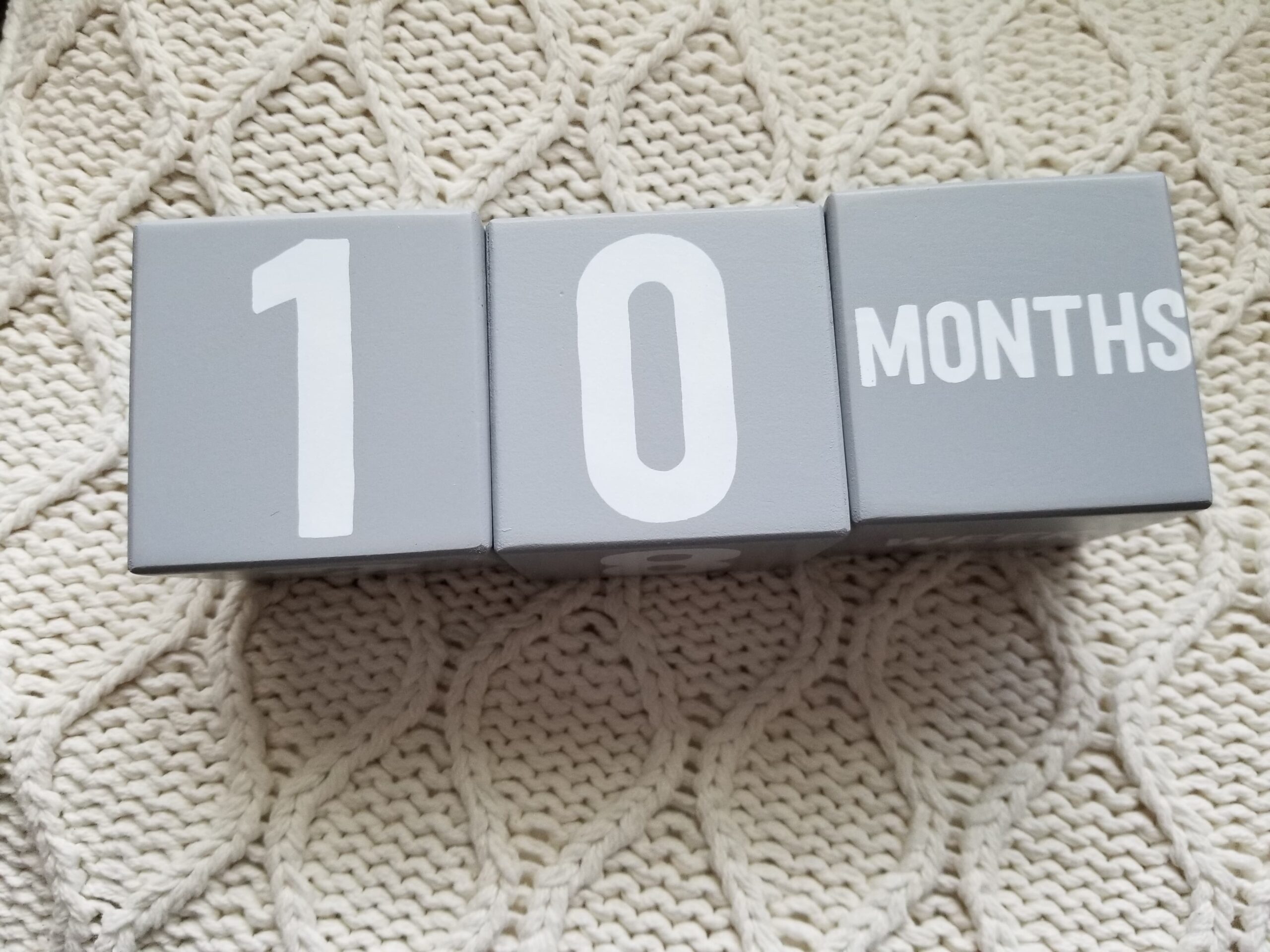 185563134_802378317132933_5351805567413872957_n