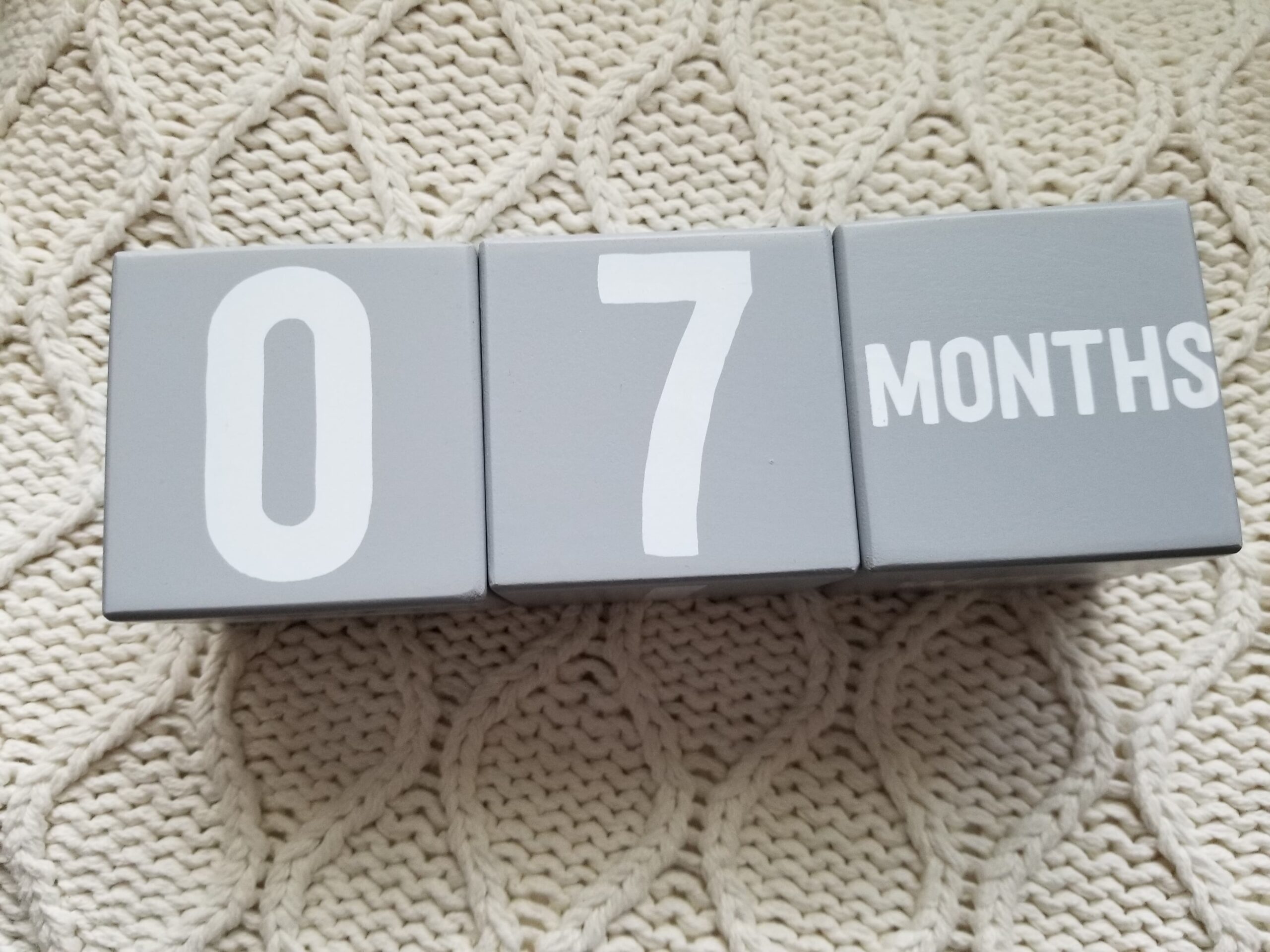 186482643_221152702770669_4930533948174353512_n