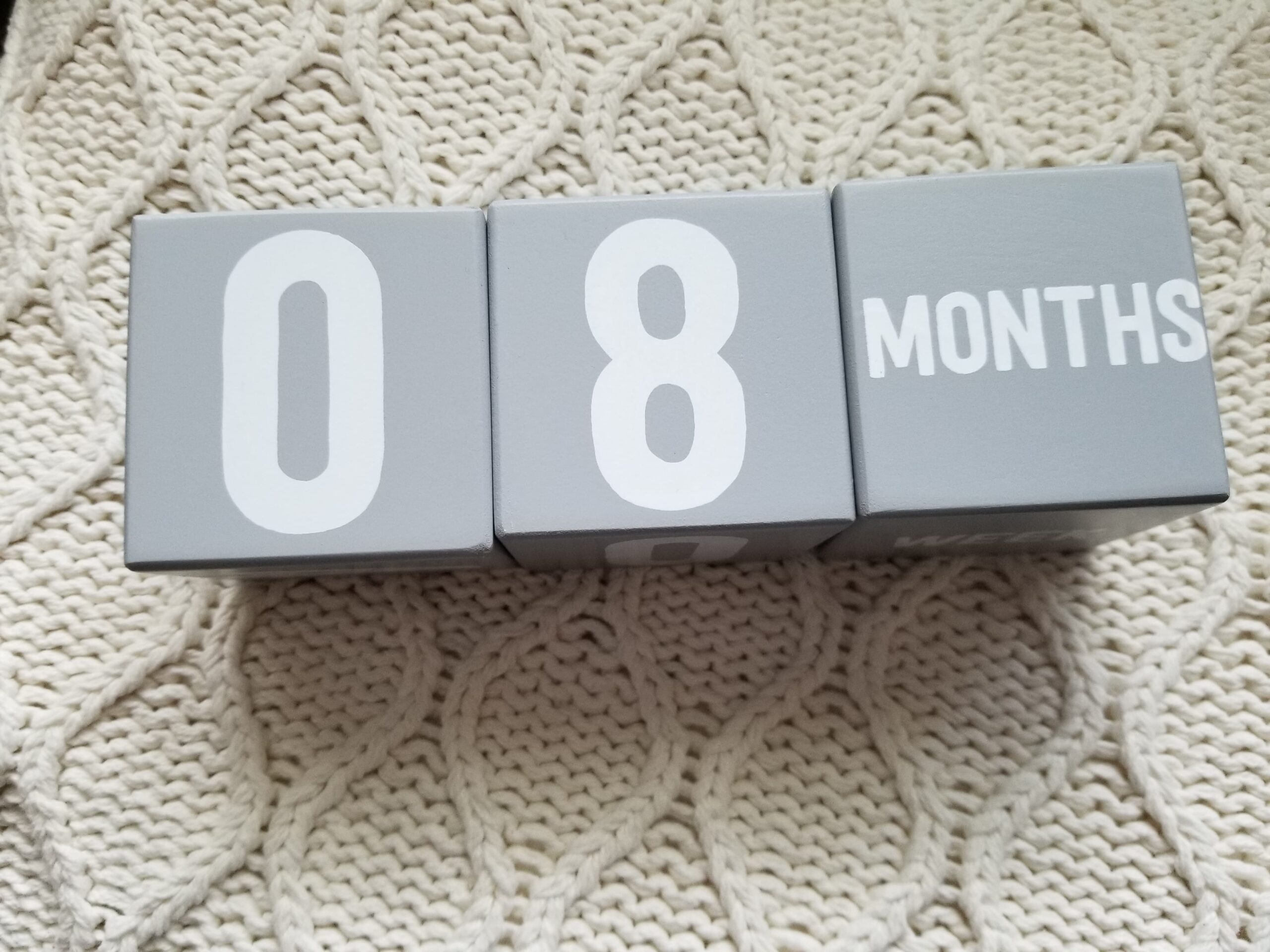 186501696_458141878616392_5967010918066176639_n