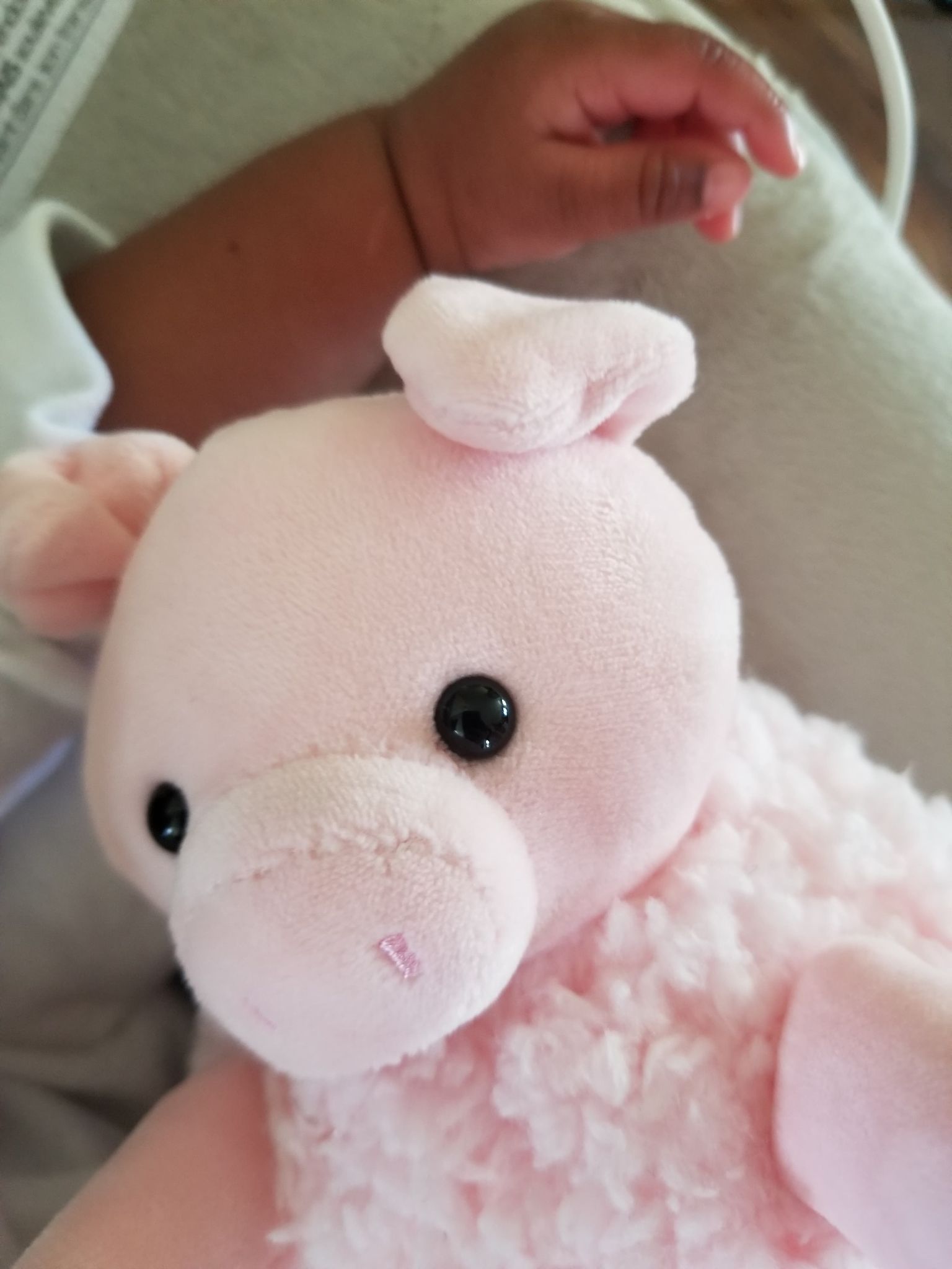 180593869_321212089390406_7889848701323122836_n