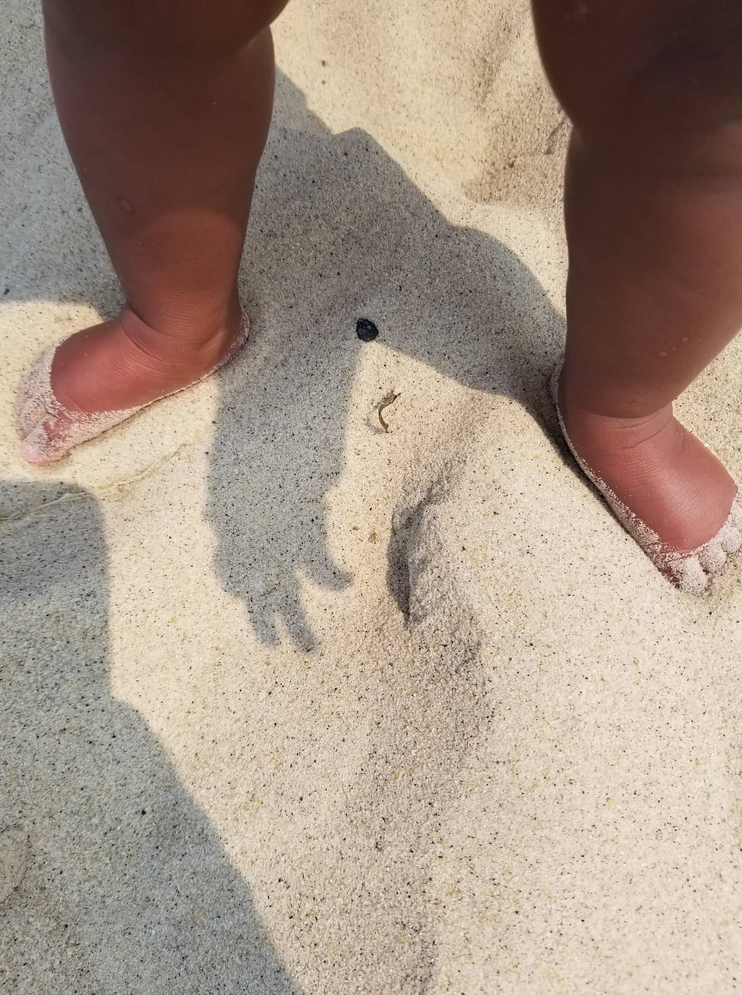 223860949_507493526985380_5216983915244461856_n