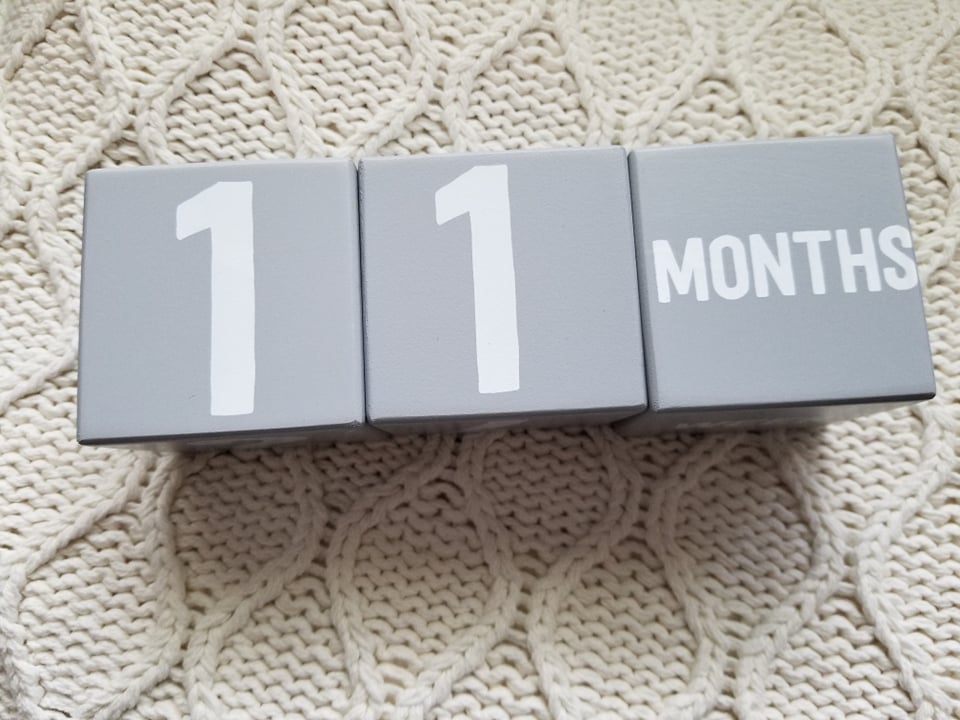 240887440_569285441192225_3889195004567438788_n