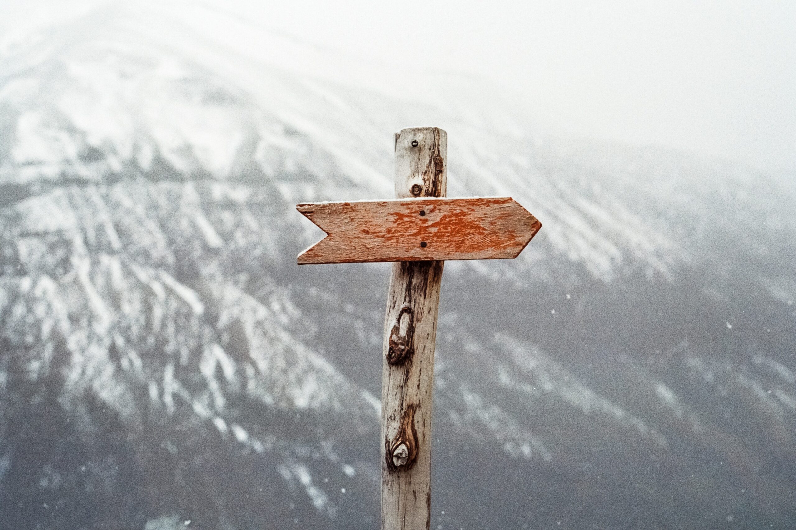 jens-johnsson-36a3U4_UUHY-unsplash