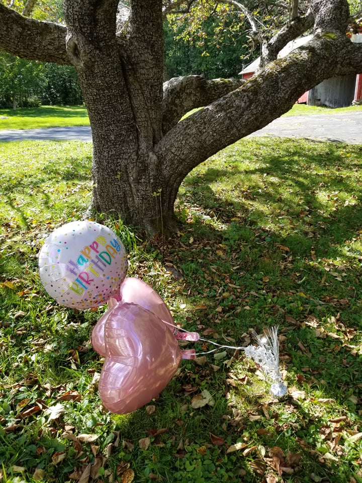 244689705_1495426630837140_1557405119814226695_n